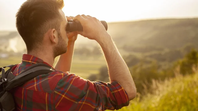 Le Gout De La Decouverte