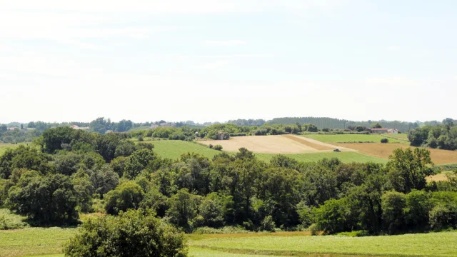Belvedere Paysages vallonnés Terres de Chalosse