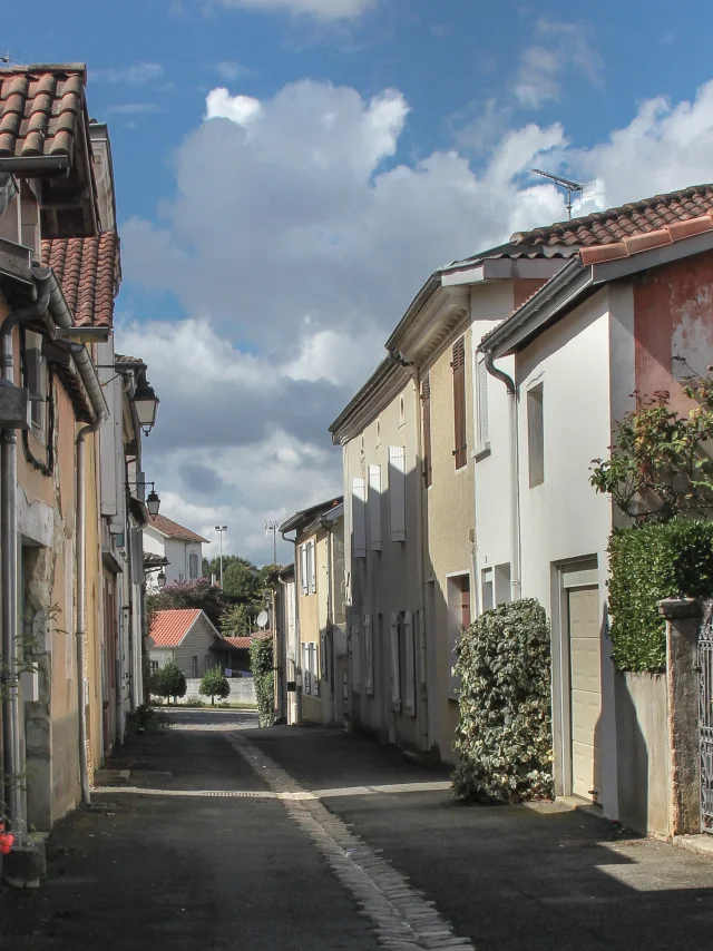 2020 Montfort En Chalosse Paysage 2 Vio.photographe