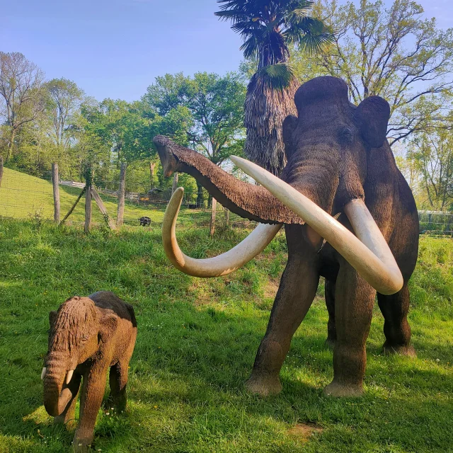 Préhistosite de Brassempouy